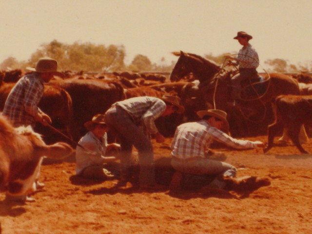 Bronco Branding - Oil Bore