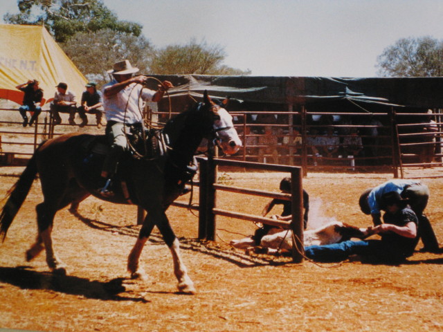 Donny Anderson at Bronco Brading Competition Mt Skinner