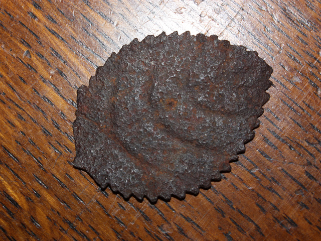 Iron Rose Leaf from Camooweal Cemetary