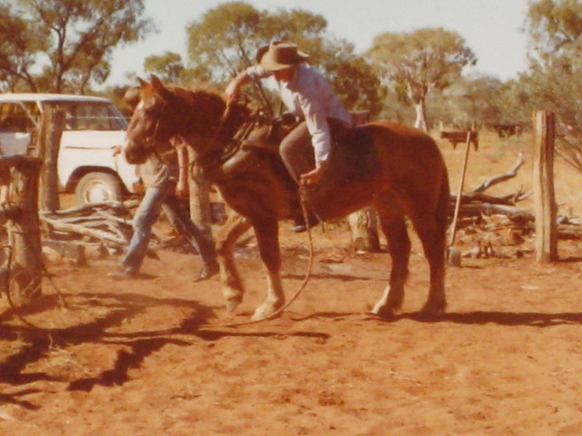 Neville Bronco Roping 80's