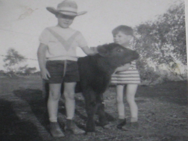 Neville and Ashley with a poddy calf around 1970