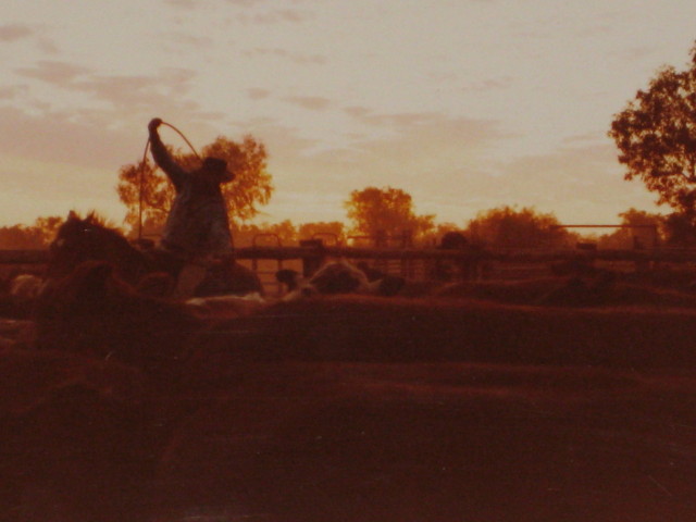 Roping at Sunset